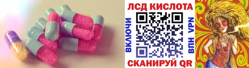 дарнет шоп Гатчина ссылка на мегу как зайти LSD-25 экстази кислота
