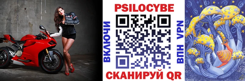 Псилоцибиновые грибы Psilocybe  купить   Гатчина 