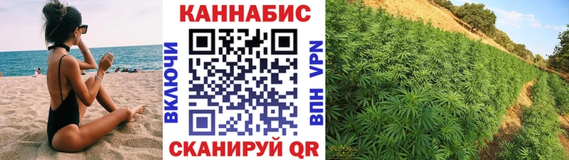 МАРИХУАНА конопля  Гатчина 